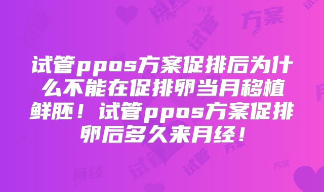 试管ppos方案促排后为什么不能在促排卵当月移植鲜胚！试管ppos方案促排卵后多久来月经！