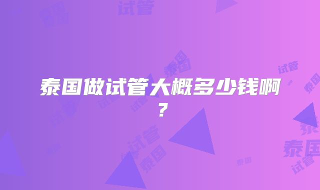 泰国做试管大概多少钱啊?