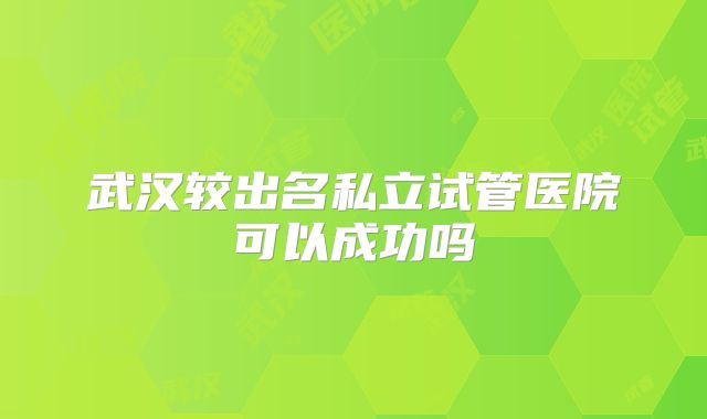 武汉较出名私立试管医院可以成功吗