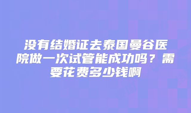 没有结婚证去泰国曼谷医院做一次试管能成功吗？需要花费多少钱啊