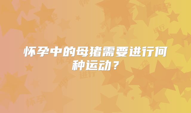 怀孕中的母猪需要进行何种运动？