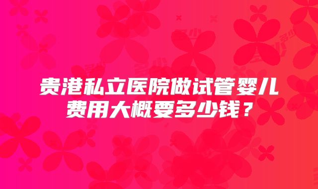 贵港私立医院做试管婴儿费用大概要多少钱？