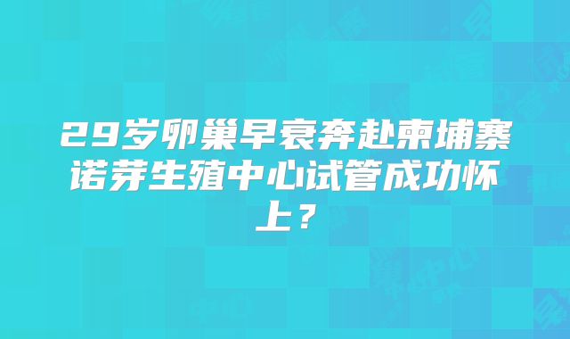 29岁卵巢早衰奔赴柬埔寨诺芽生殖中心试管成功怀上?