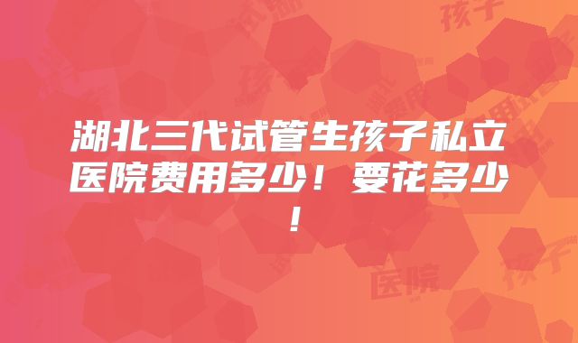 湖北三代试管生孩子私立医院费用多少！要花多少！