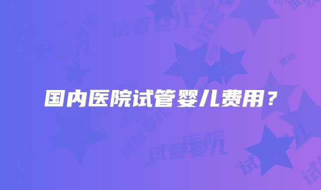 国内医院试管婴儿费用?