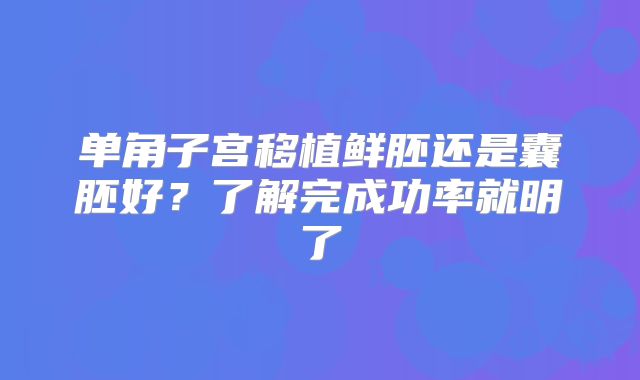 单角子宫移植鲜胚还是囊胚好？了解完成功率就明了