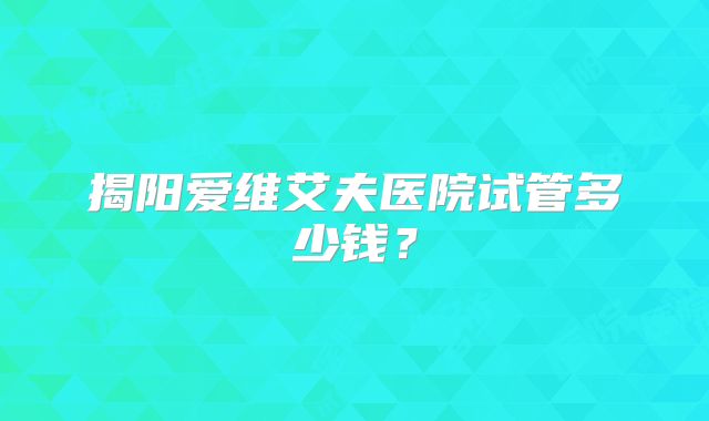 揭阳爱维艾夫医院试管多少钱？