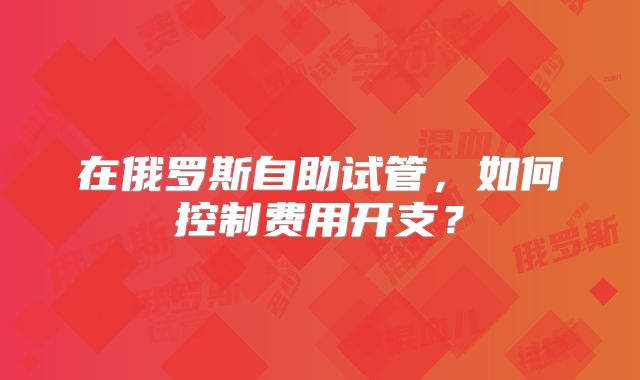 在俄罗斯自助试管,如何控制费用开支?