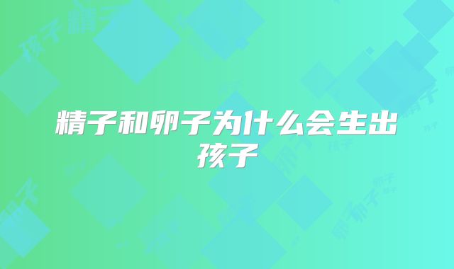 精子和卵子为什么会生出孩子