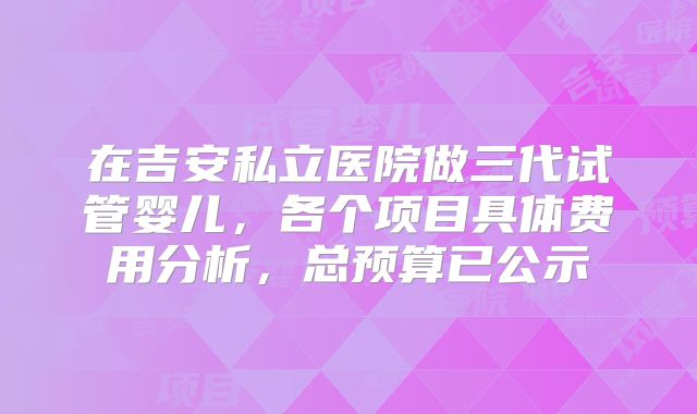 在吉安私立医院做三代试管婴儿，各个项目具体费用分析，总预算已公示