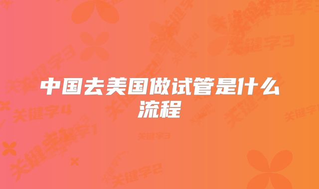 中国去美国做试管是什么流程