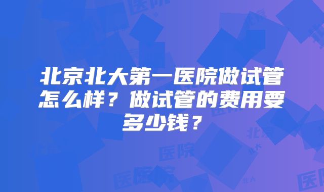 北京北大第一医院做试管怎么样？做试管的费用要多少钱？