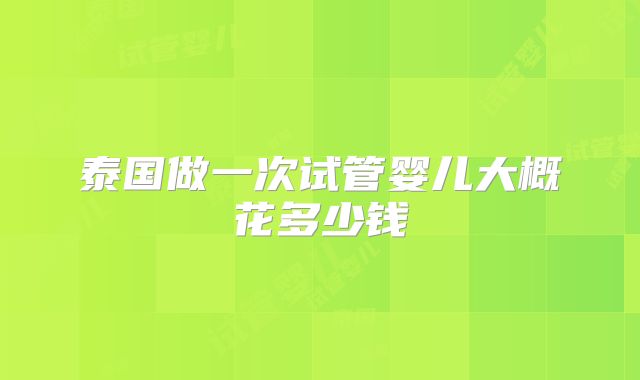 泰国做一次试管婴儿大概花多少钱