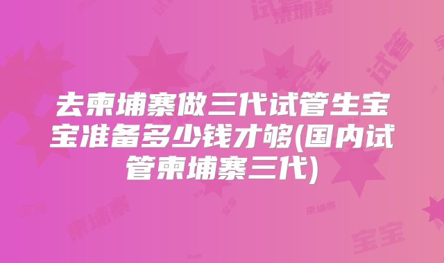 去柬埔寨做三代试管生宝宝准备多少钱才够(国内试管柬埔寨三代)
