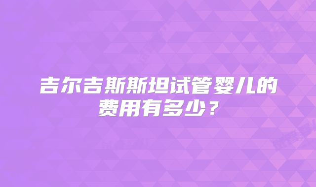 吉尔吉斯斯坦试管婴儿的费用有多少?