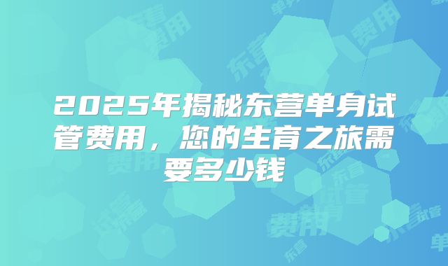 2025年揭秘东营单身试管费用，您的生育之旅需要多少钱