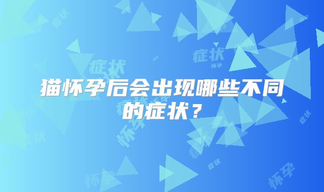 猫怀孕后会出现哪些不同的症状？