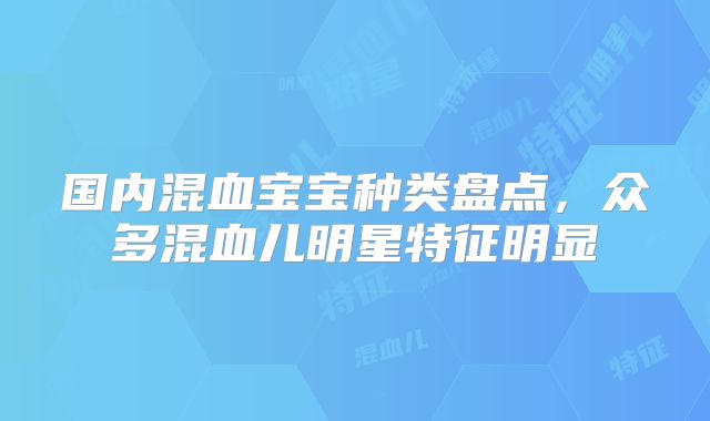 国内混血宝宝种类盘点，众多混血儿明星特征明显