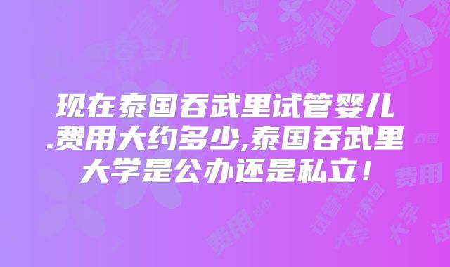 现在泰国吞武里试管婴儿.费用大约多少,泰国吞武里大学是公办还是私立！