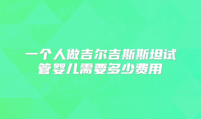 一个人做吉尔吉斯斯坦试管婴儿需要多少费用