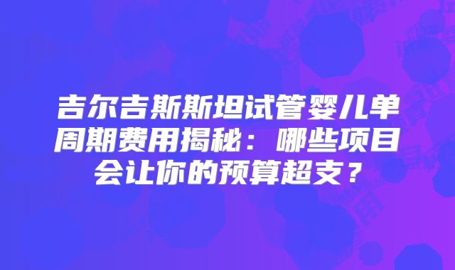 吉尔吉斯斯坦试管婴儿单周期费用揭秘：哪些项目会让你的预算超支？