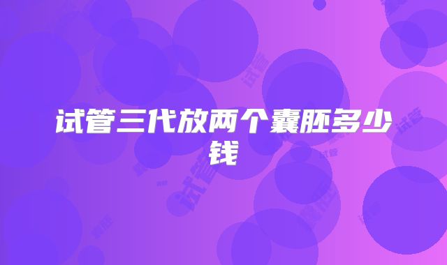 试管三代放两个囊胚多少钱