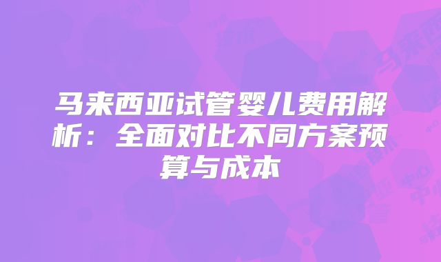 马来西亚试管婴儿费用解析：全面对比不同方案预算与成本