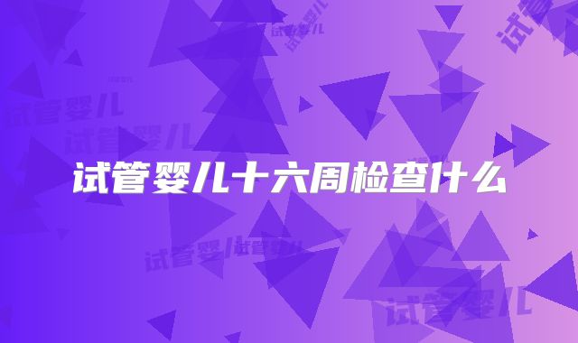 试管婴儿十六周检查什么