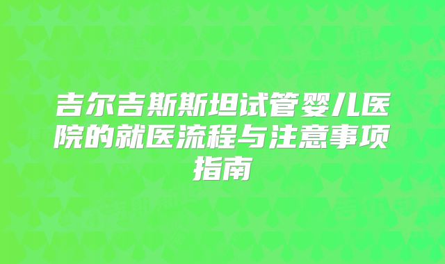 吉尔吉斯斯坦试管婴儿医院的就医流程与注意事项指南