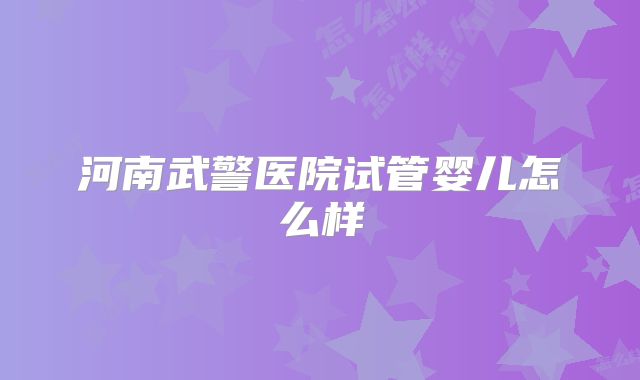河南武警医院试管婴儿怎么样