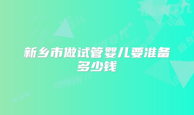 新乡市做试管婴儿要准备多少钱