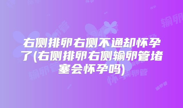 右侧排卵右侧不通却怀孕了(右侧排卵右侧输卵管堵塞会怀孕吗)