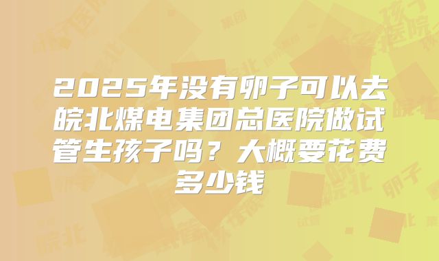 2025年没有卵子可以去皖北煤电集团总医院做试管生孩子吗？大概要花费多少钱