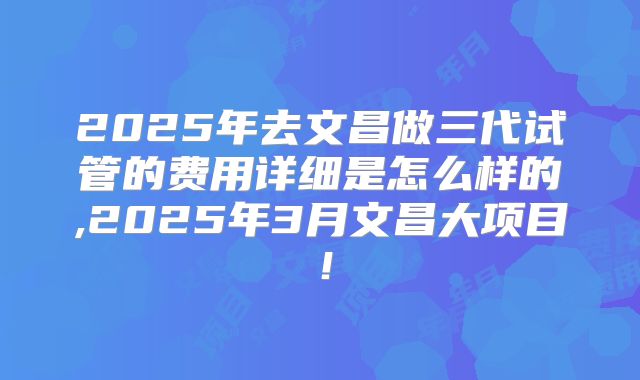 2025年去文昌做三代试管的费用详细是怎么样的,2025年3月文昌大项目！
