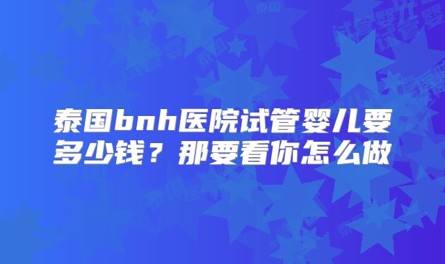 泰国bnh医院试管婴儿要多少钱?那要看你怎么做