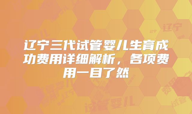 辽宁三代试管婴儿生育成功费用详细解析,各项费用一目了然