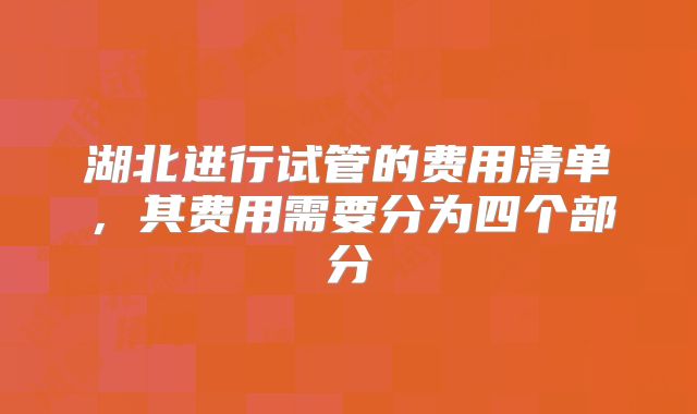 湖北进行试管的费用清单，其费用需要分为四个部分