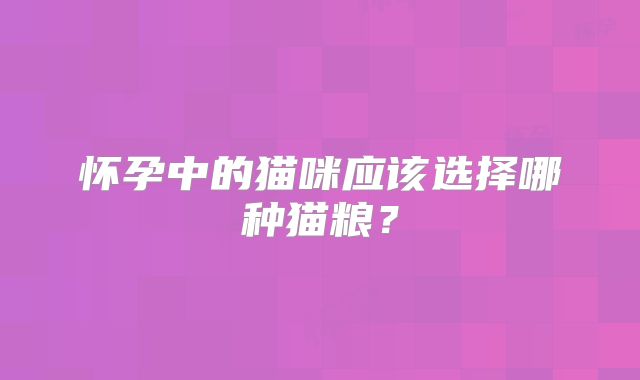 怀孕中的猫咪应该选择哪种猫粮？