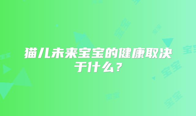 猫儿未来宝宝的健康取决于什么?