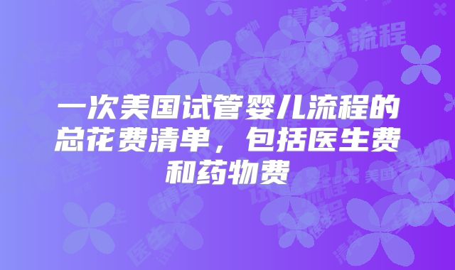 一次美国试管婴儿流程的总花费清单，包括医生费和药物费