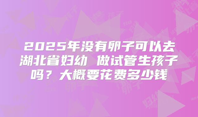 2025年没有卵子可以去湖北省妇幼 做试管生孩子吗？大概要花费多少钱