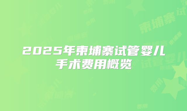2025年柬埔寨试管婴儿手术费用概览