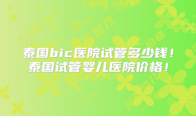 泰国bic医院试管多少钱！泰国试管婴儿医院价格！