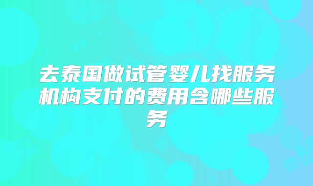 去泰国做试管婴儿找服务机构支付的费用含哪些服务