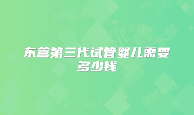 东营第三代试管婴儿需要多少钱