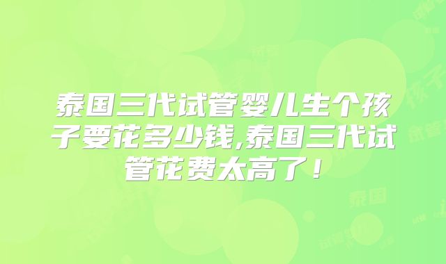 泰国三代试管婴儿生个孩子要花多少钱,泰国三代试管花费太高了！