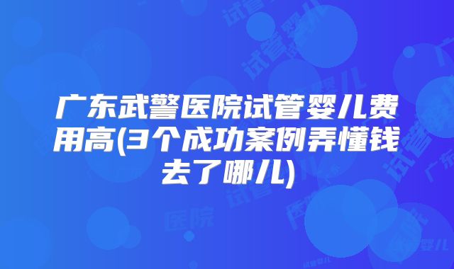 广东武警医院试管婴儿费用高(3个成功案例弄懂钱去了哪儿)