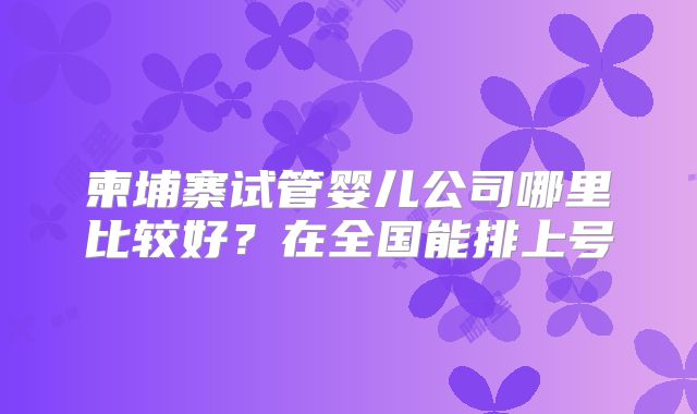 柬埔寨试管婴儿公司哪里比较好？在全国能排上号