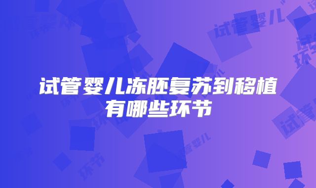 试管婴儿冻胚复苏到移植有哪些环节