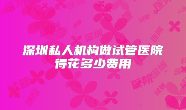 深圳私人机构做试管医院得花多少费用